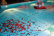 Rosenblätter auf dem Pool (Foto: Monika Küspert)